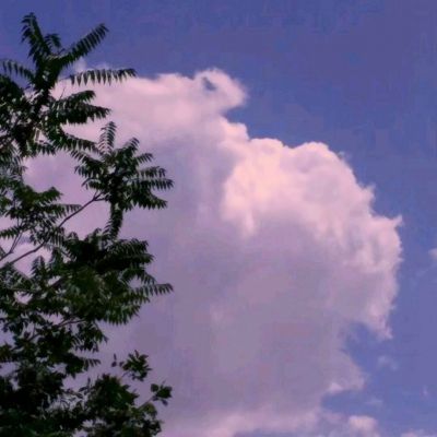 九界伏魔录果盘版下载